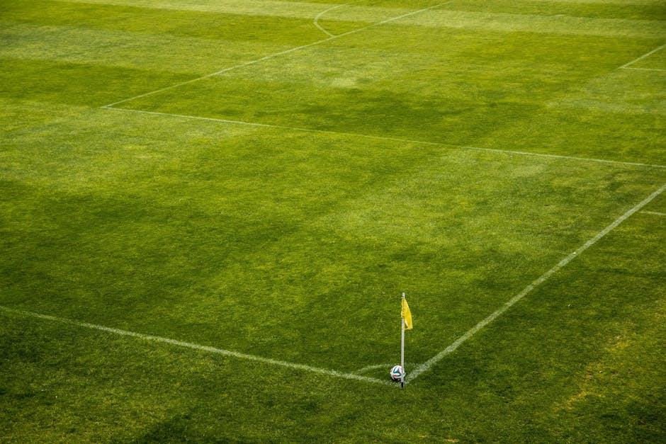 Notes des joueurs : manchester city manchester - SportNews24