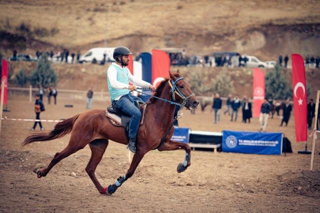 Tottenham chelsea notes joueurs : actualité sportive