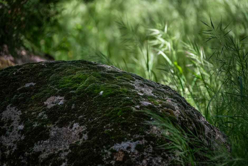 Notes des joueurs : atletico madrid real - SportNews24